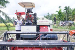 Peduli Petani, Gubri Syamsuar Serahkan Alsintan dan Panen Raya Padi di Bengkalis