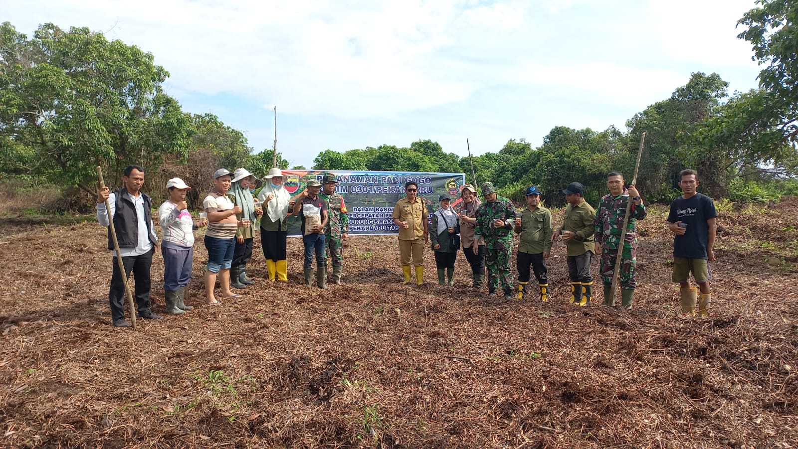 Dukung Swasembada Pangan Nasional, Kelurahan Sungai Sibam Gandeng Koptan Tanam Padi Gogo
