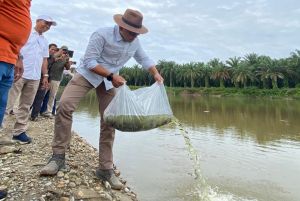 300 Ribu Benih Ikan Disebar di Sungai Riau